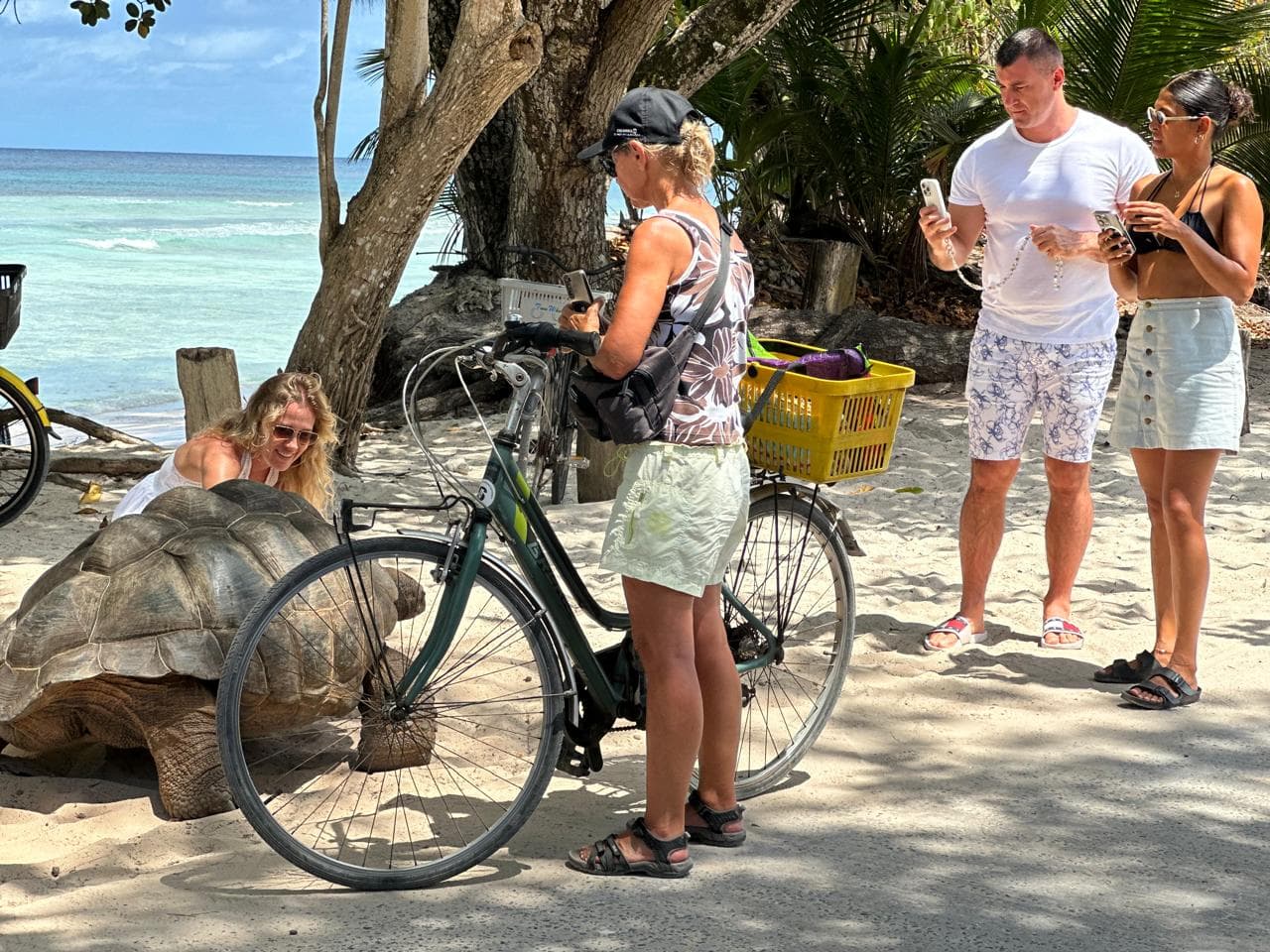 Guided Bike Tours service